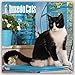 Tuxedo Cats 2017 Calendar