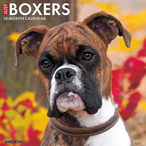 Just Boxers 2017 Wall Calendar