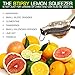 BTipsy Jumbo Citrus Hand Juicer - Jumbo Lemon and Lime Squeezer with Commercial Grade - Premium Quality (Grade 304)