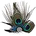 Simplicity® Peacock Feather Hair Clip/Fascinator with Rhinestones
