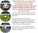 The Rich Man's Make An Extra Income, Inner Game and Godfather Principles for Home Foot Spas On-line Businesses 3 CD Course by Phillip Z Brown