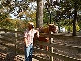 Autec Horse Head Mask