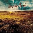 The Color Morale - Live in Concert