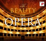 The Beauty of Opera title=
