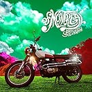 Lousy With Sylvianbriar