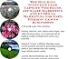 Book The Guerilla Marketing, Building Effective Lead Capture Web Pages, Affiliate Marketing for Used Wedding Gowns Businesses