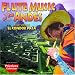 Flute Music of the Andes
