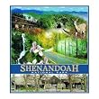 Shenandoah National Park Coverlet