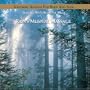 Rains Musical Massage : Nature's Ensemble, The Essence of Relaxation