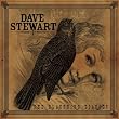 The Blackbird Diaries