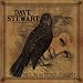 The Blackbird Diaries