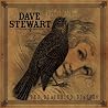 Image of album by Dave Stewart