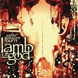 As The Palaces Burn [Explicit]