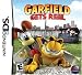 Video Games : Garfield Gets Real