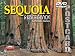 Sequoia & Kings Canyon DVD Postcard