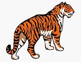 TIGER Toddler T-Shirt