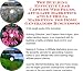 The Guerilla Marketing, Building Effective Lead Capture Web Pages, Affiliate Marketin...