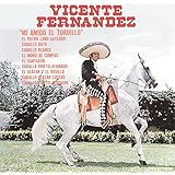 Mi Amigo El Tordillo