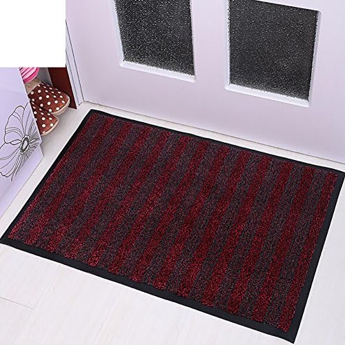 Nylon dust mat/ household car mats in the Hall/Non-slip mats-A 60x90cm(24x35inch)