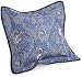 Kitchen & Housewares : Pinzon Italian Paisley 18-inch by 18-inch Percale Decorative Pillow Sham