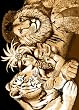 Animal Area Rug, Home Dynamix Zone Lion Tiger