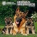 German Shepherds 2017 American Kennel Club Wall Calendar