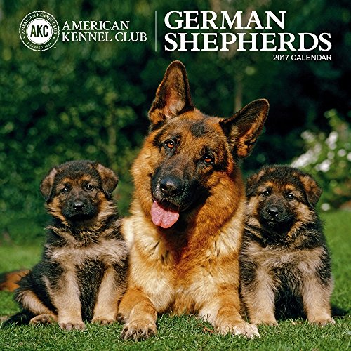German Shepherds 2017 American Kennel Club Wall Calendar