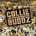 Collie Buddz  Mamacita