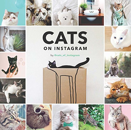 Cats on Instagram Cats on Instagram