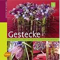 Gestecke: Kreativ mit Blumen