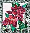 Poinsetta Christmas Quilt Pattern Bigfork Bay Cotton Company