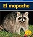 Book cover for 9781432942113