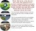 The Quick and Easy Super Marketing, Godfather Principles and Sales Models for Fire Sprinkler Heads Web Biz 3 Course + Resource Guide