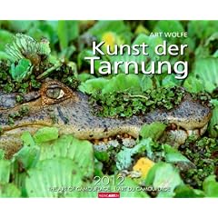 Kunst der Tarnung 2012 / The Art of Camouflage 2012 / L'Art du camouflage 2012