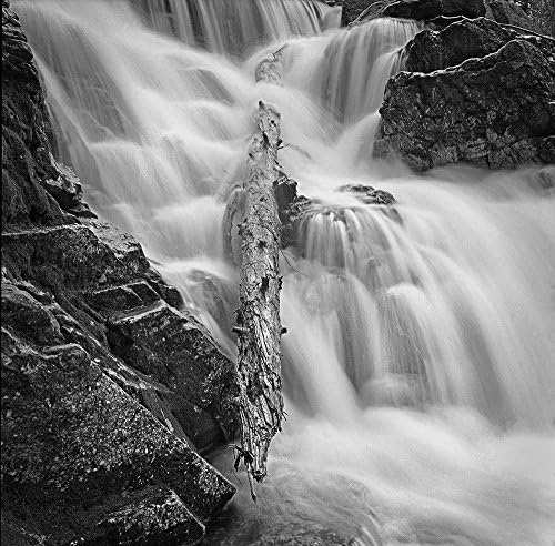 0094b 11" X 11" Limited Edition Fine Art Landscape Photograph by Russ Martin "Mountain Waterfall and Log" COA (10% of the profit to be donated to The Nature Conservancy)