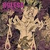 Bild des Albums von Kylesa