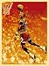 Michael Jordan, Shepard Fairey Dual-Autographed 'Chicago Bulls' 24x36 Silkscreen Print 75215