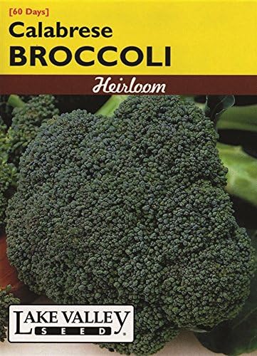 Calabrese Broccoli Seeds - 2 grams
