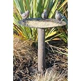 Garden Bird Bath - Antique Bronze Birdbath Feeder