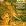 Berlioz: 5 Overtures (King Lear, Rob Roy, Le Corsaire, Beatrice