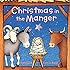 Christmas in the Manger