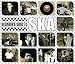 Beginner's Guide to Ska
