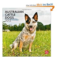 Australian Cattle Dogs 2013 - Australische Cattle Dogs - Original BrownTrout-Kalender