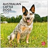 Australian Cattle Dogs 2013 - Australische Cattle Dogs - Original BrownTrout-Kalender