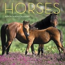 2012 Horses Wall Calendar 2012 Horses Wall Calendar