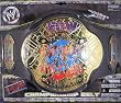 ECW WORLD HEAYWEIGHT JAKKS TOY WRESTLING KIDS BELT