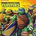 Teenage Mutant Ninja Turtles - 2016 Calendar 12 x 12in