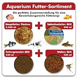 Produkt-Information 