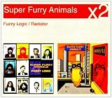 Fuzzy Logic / Radiator