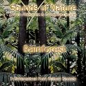The Rainforest